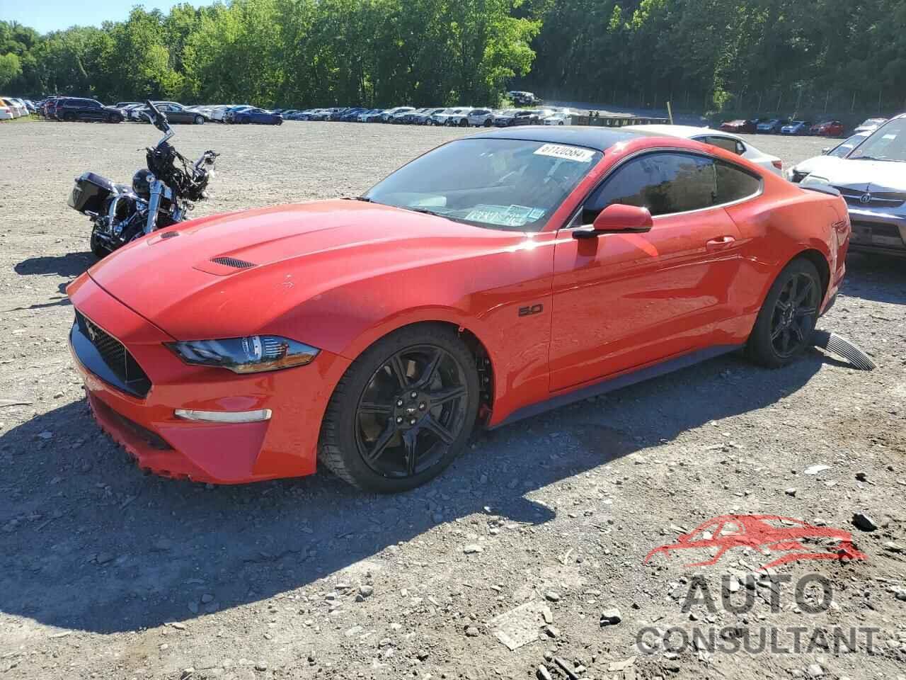 FORD MUSTANG 2019 - 1FA6P8CF0K5116850