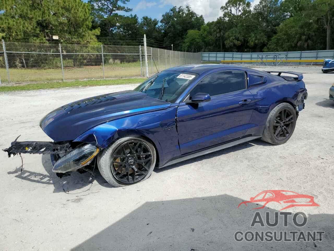 FORD MUSTANG 2019 - 1FA6P8CF1K5174112