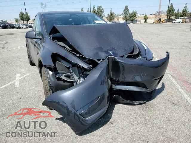 TESLA MODEL Y 2025 - 7SAYGDED1SF314541