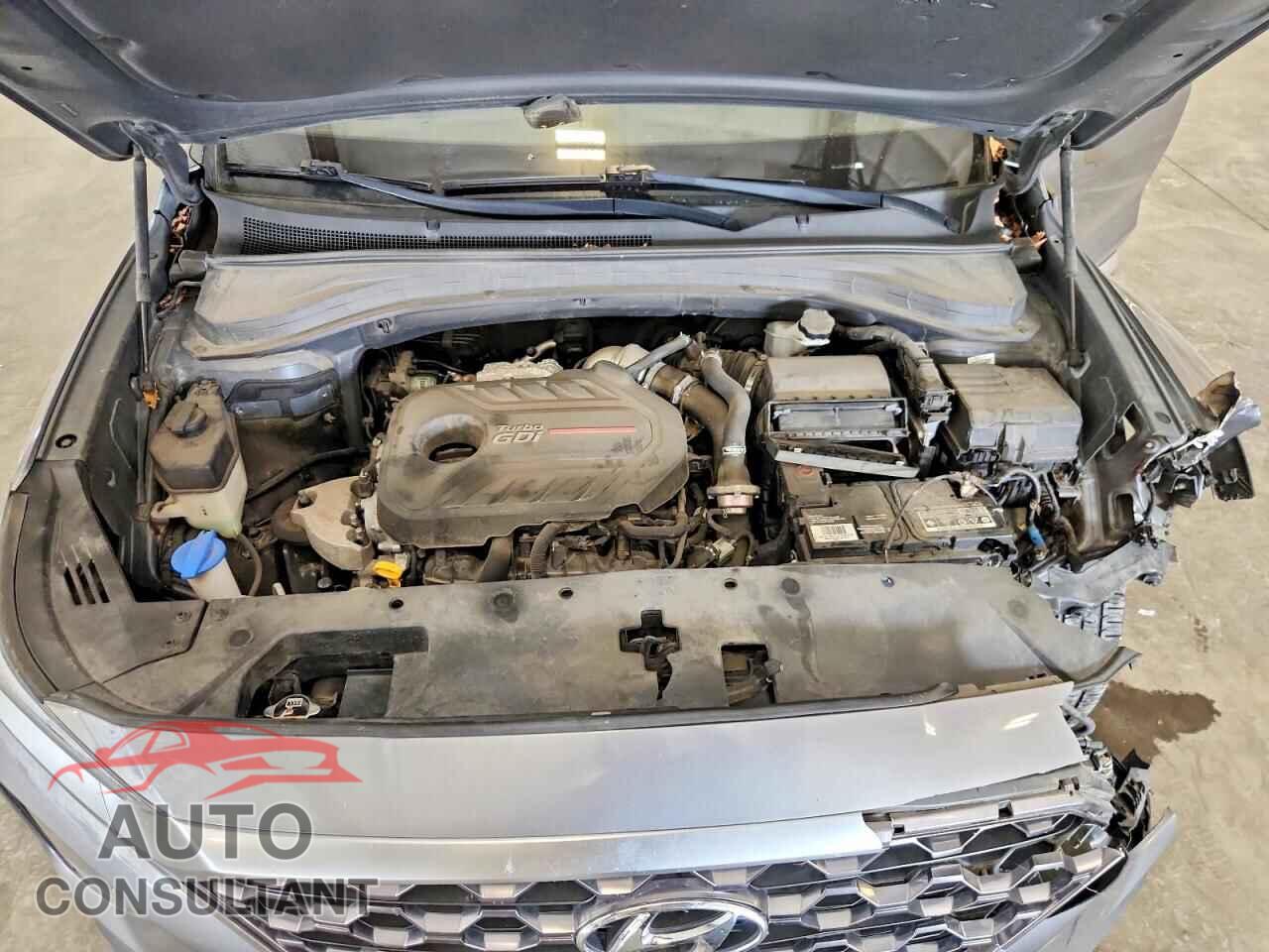 HYUNDAI SANTA FE 2019 - 5NMS5CAA7KH107570