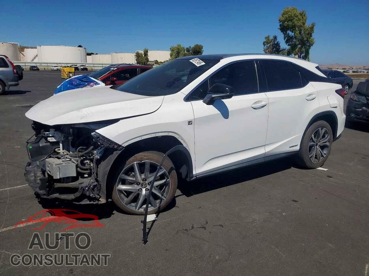 LEXUS RX450 2019 - 2T2BGMCAXKC040624