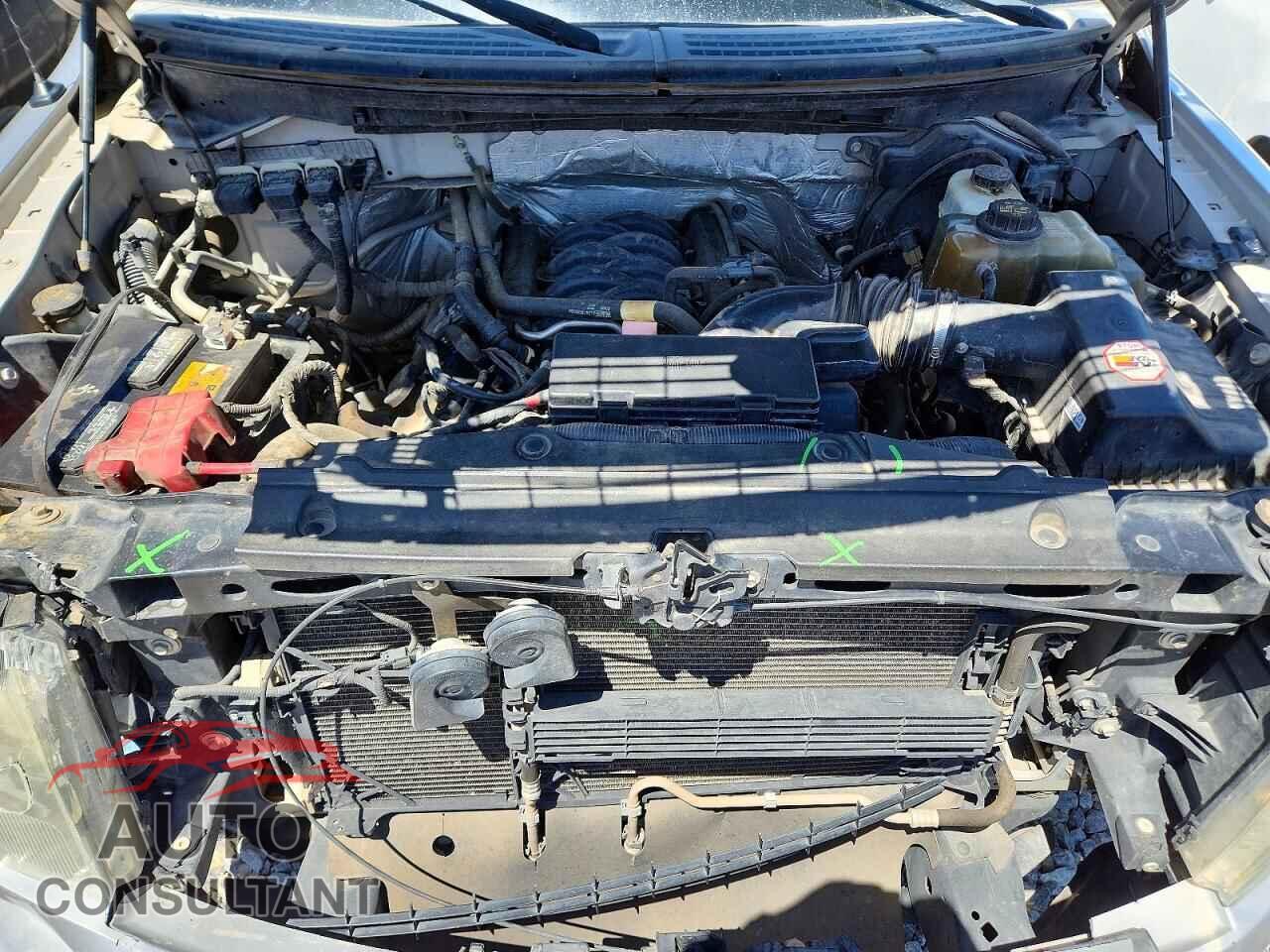 FORD F150 2013 - 1FTFX1EF9DFD83271