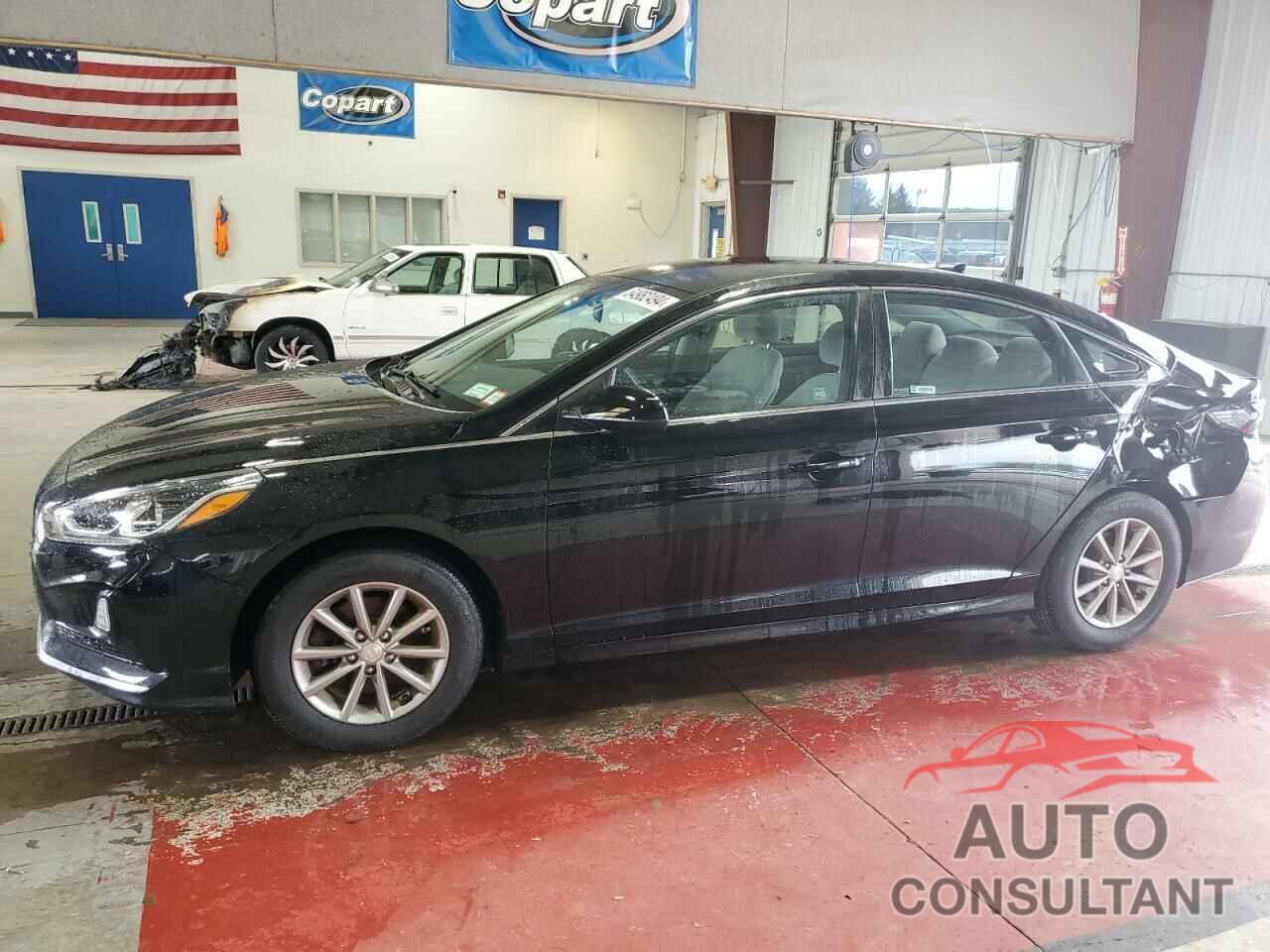 HYUNDAI SONATA 2018 - 5NPE24AF4JH711988