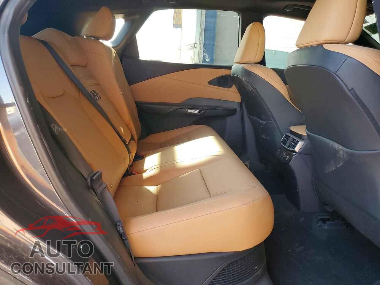 LEXUS UNKNOWN 2024 - 2T2BBMCA6RC058059