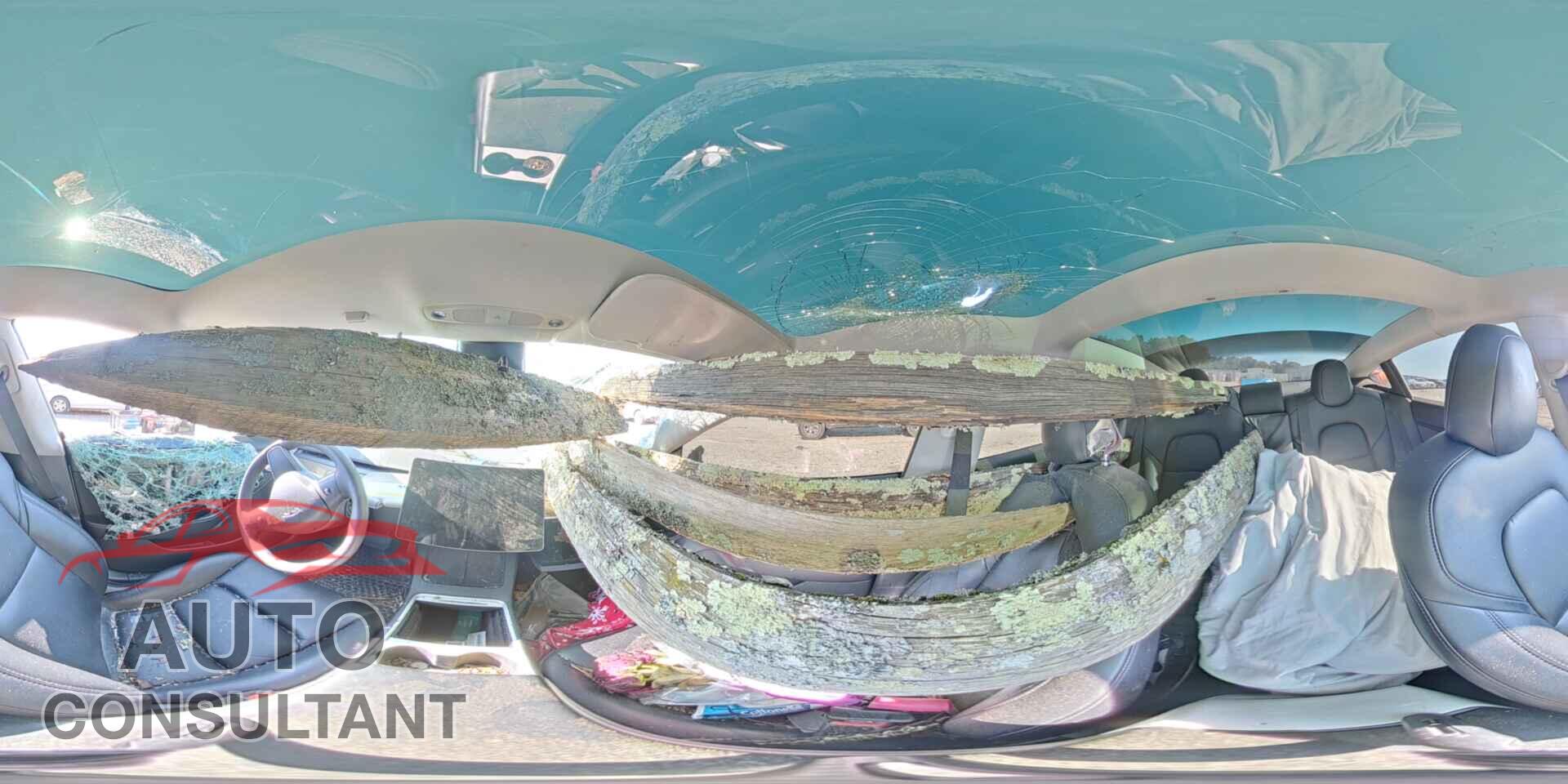 TESLA MODEL 3 2022 - 5YJ3E1EB5NF261955