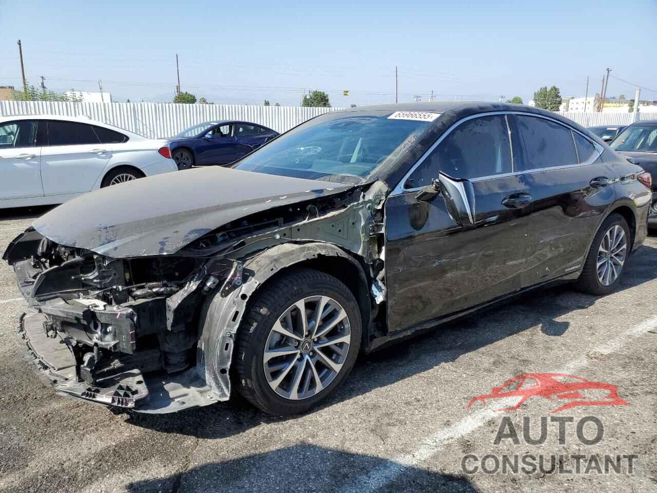 LEXUS ES300 2022 - 58ACA1C19NU017825