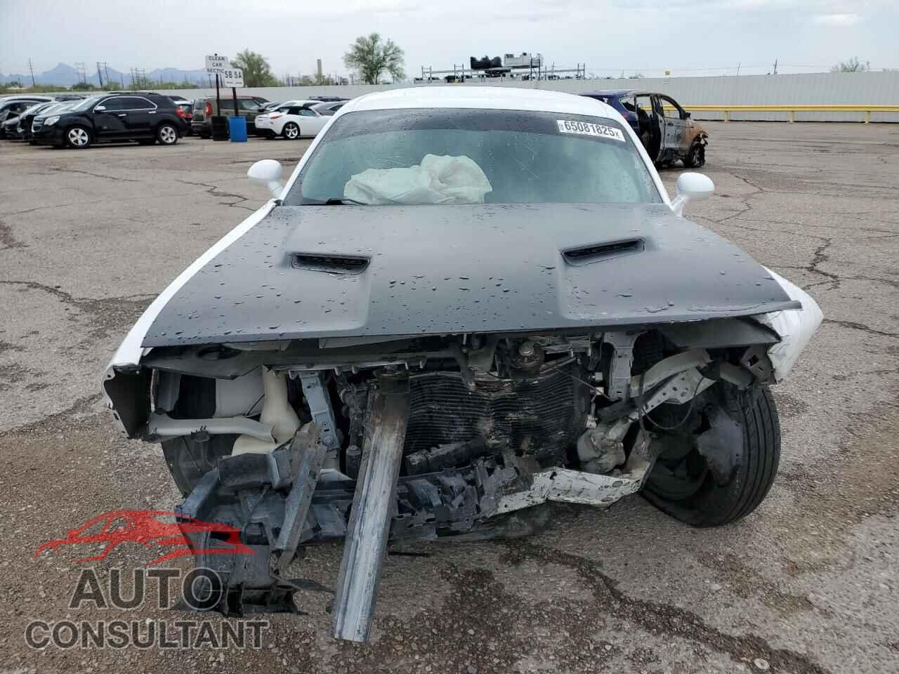 DODGE CHALLENGER 2019 - 2C3CDZAG7KH733909