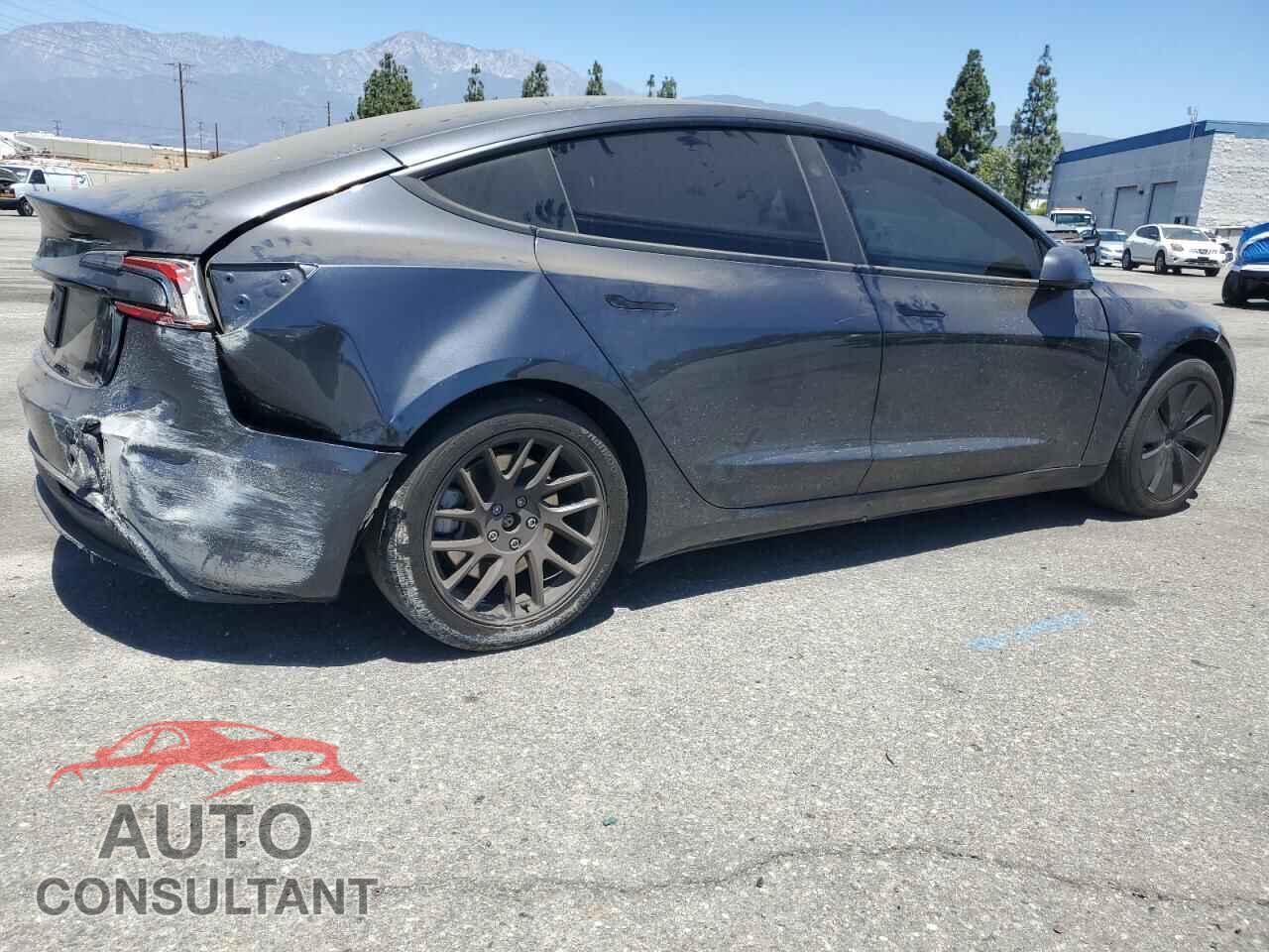 TESLA MODEL 3 2024 - 5YJ3E1EA7RF744781