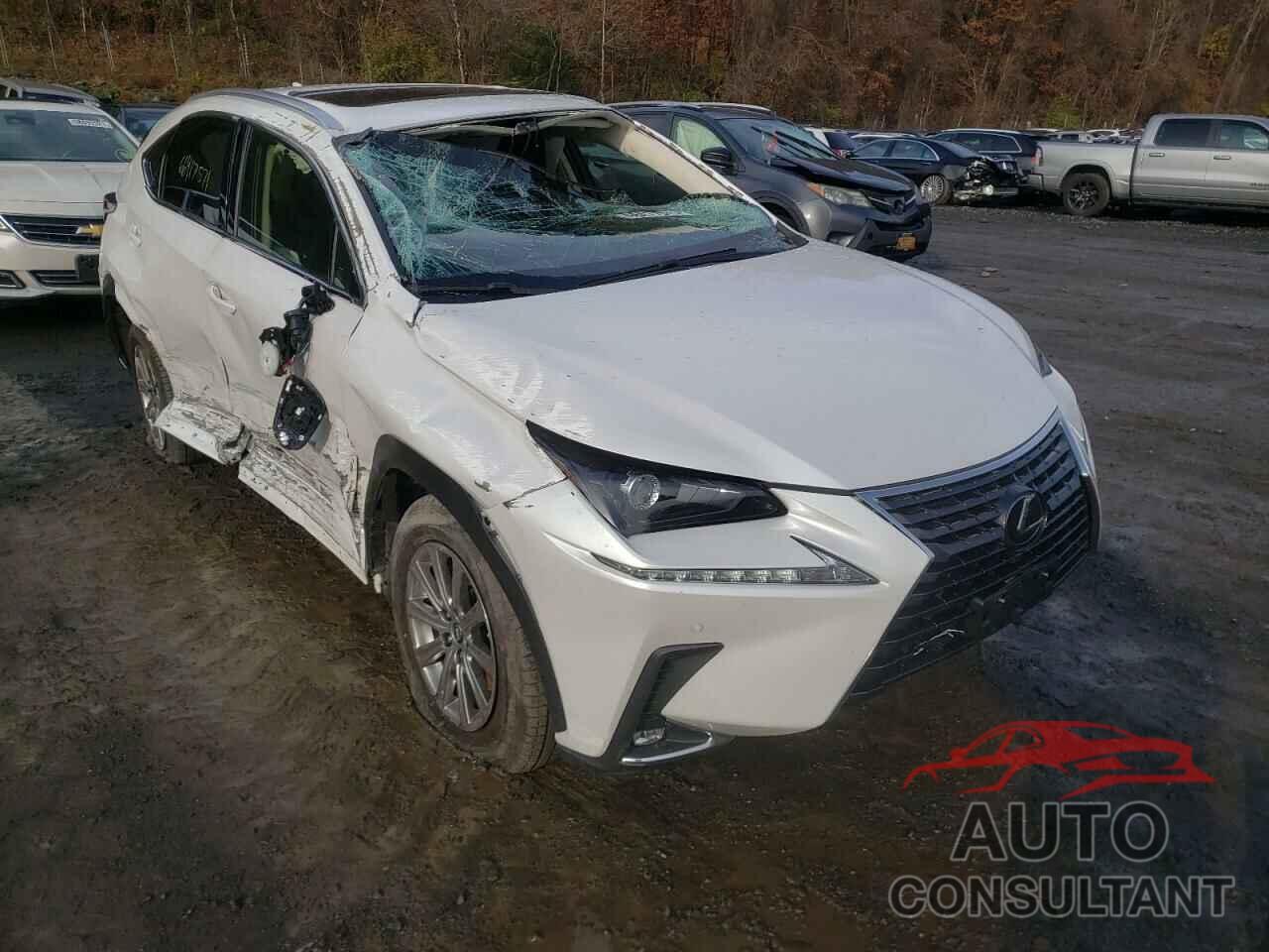 LEXUS NX 2020 - JTJDARDZ7L5011996