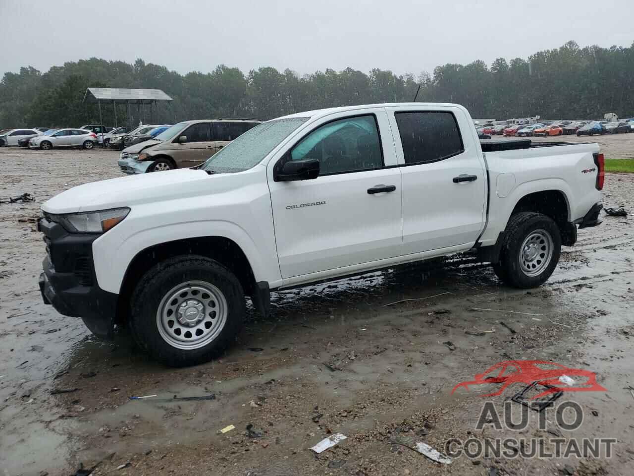 CHEVROLET COLORADO 2023 - 1GCPTBEK5P1250771