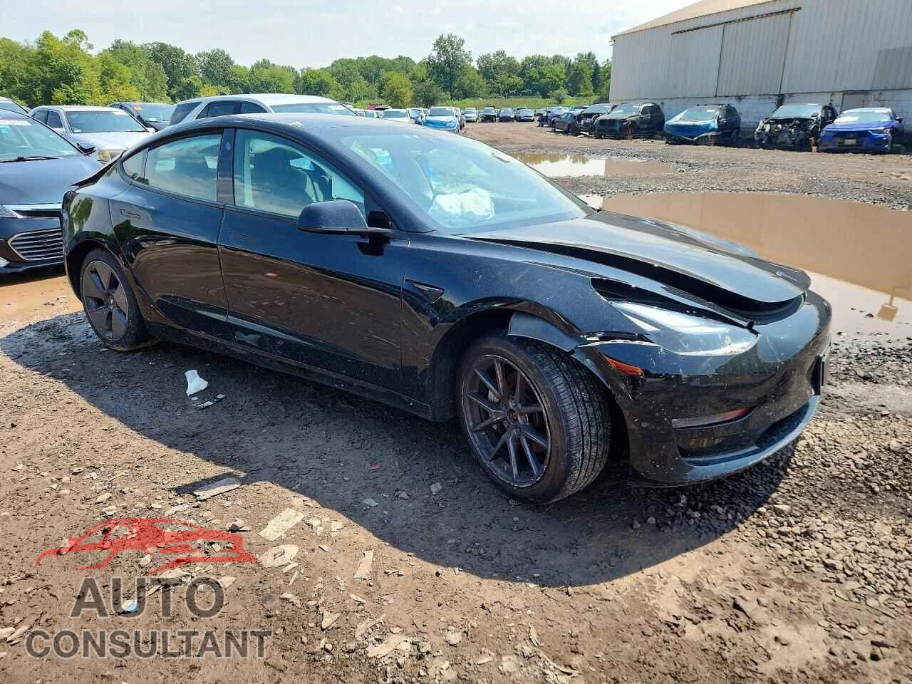 TESLA MODEL 3 2021 - 5YJ3E1EBXMF974834