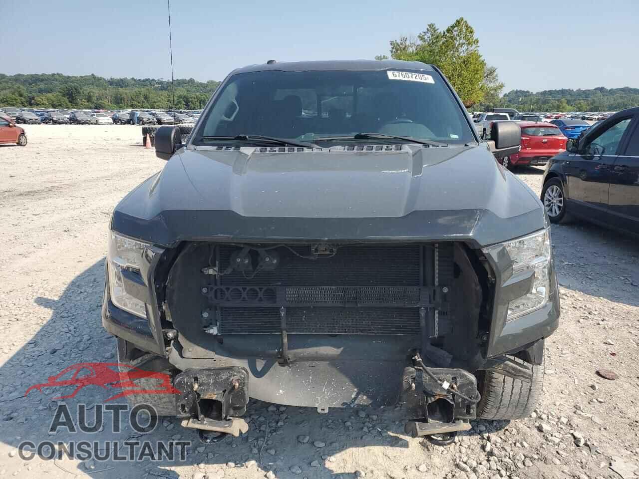 FORD F-150 2016 - 1FTEW1EF7GFA00639