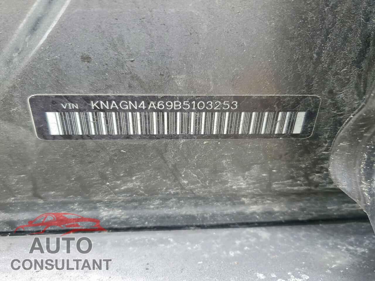 KIA OPTIMA 2011 - KNAGN4A69B5103253