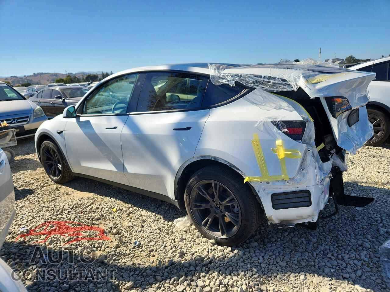 TESLA MODEL Y 2024 - 7SAYGAEE6RF152794