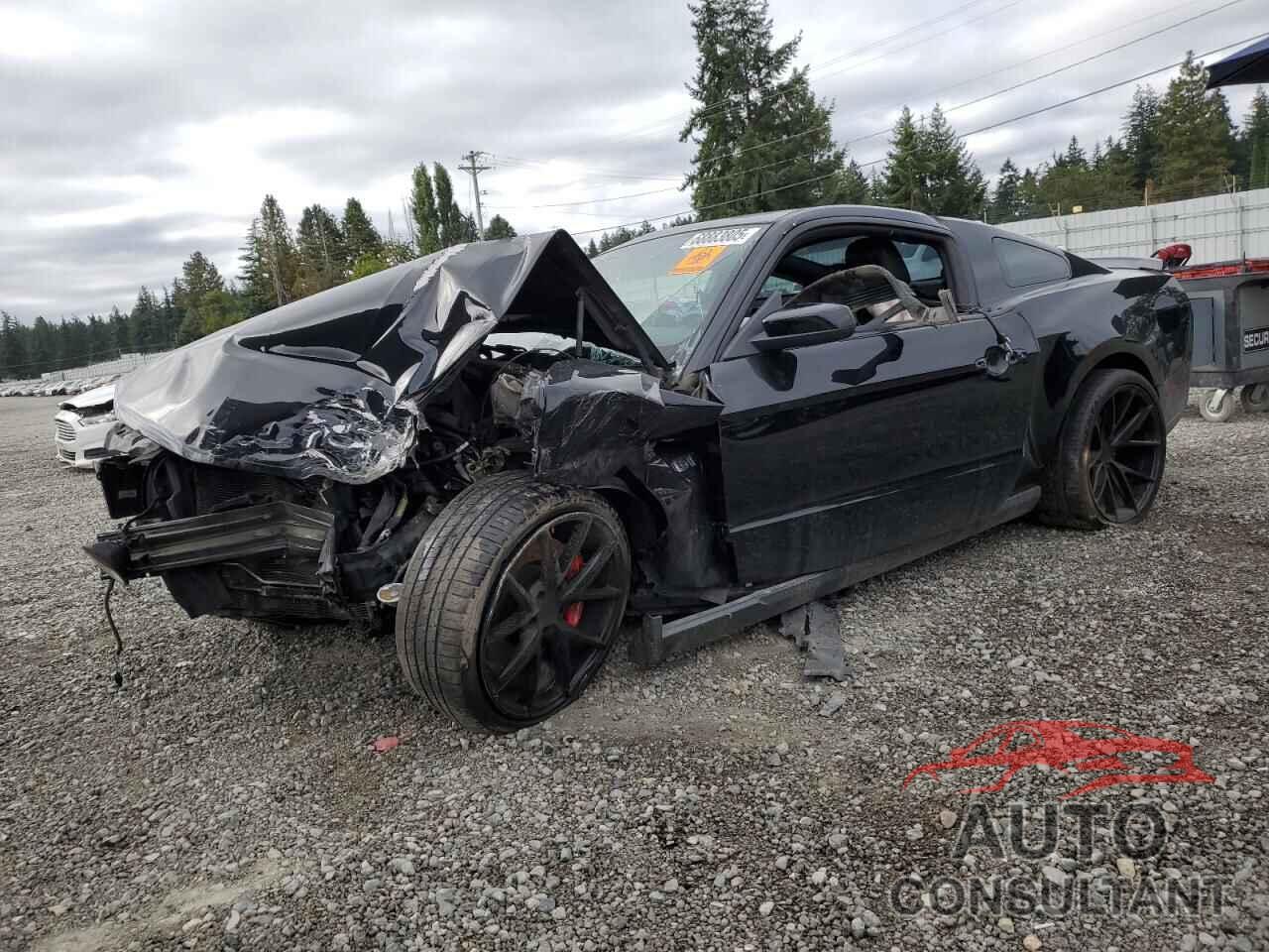 FORD MUSTANG 2010 - 1ZVBP8CH7A5151018
