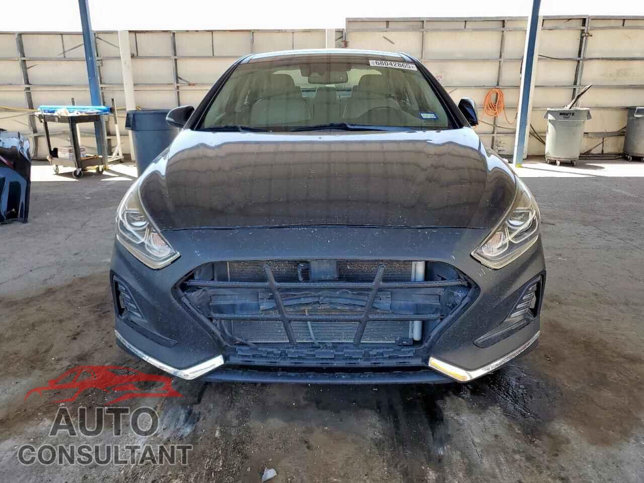 HYUNDAI SONATA 2019 - 5NPE34AF7KH799403