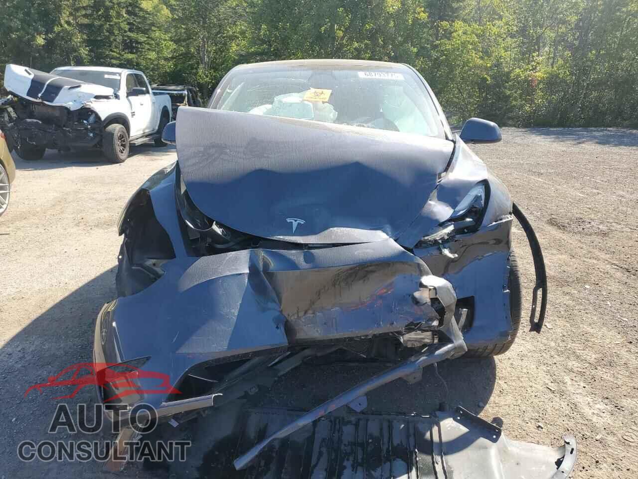 TESLA MODEL Y 2023 - LRWYGDFD1PC071892