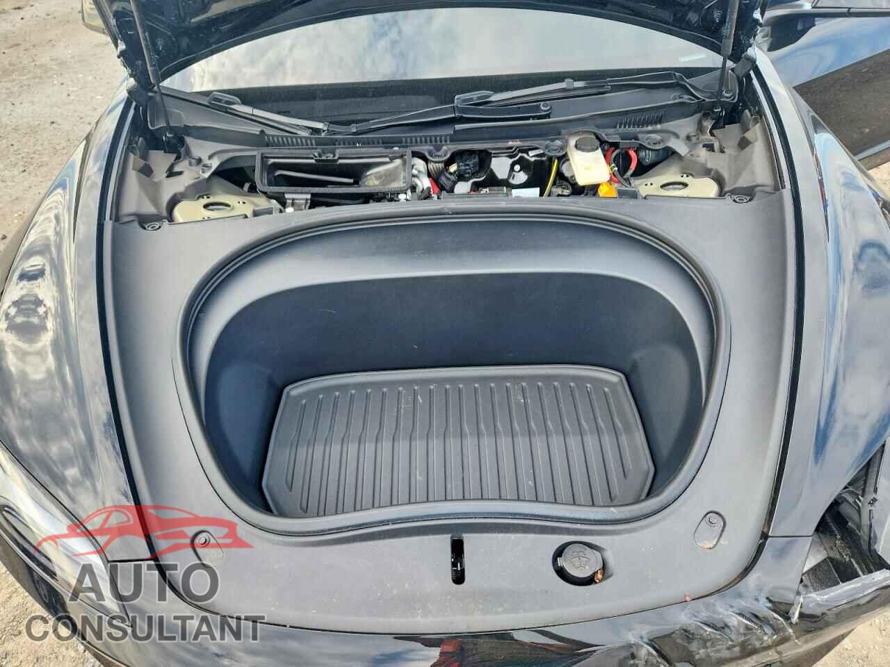 TESLA MODEL 3 2025 - 5YJ3E1EB1SF976064
