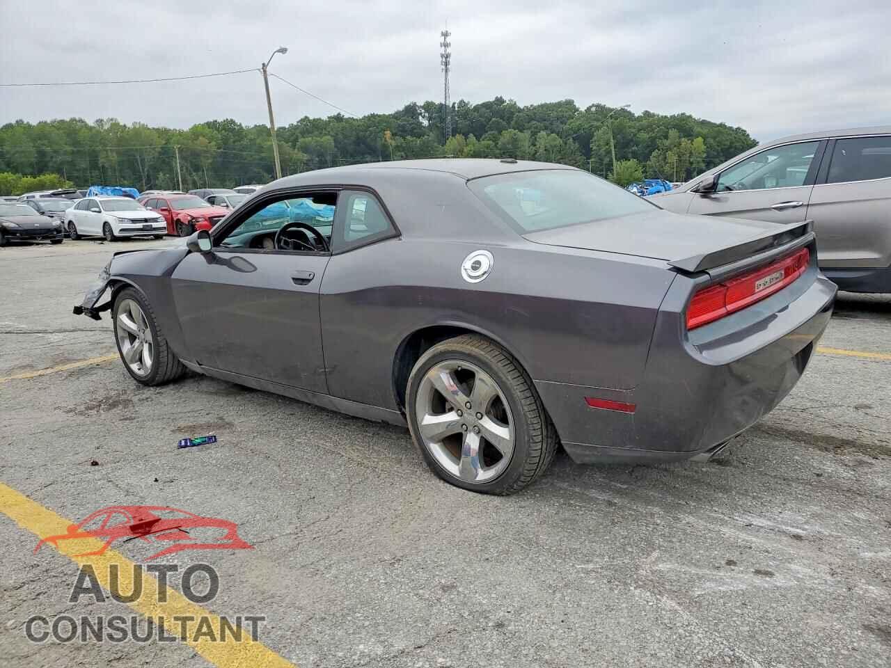 DODGE CHALLENGER 2014 - 2C3CDYAG3EH187110