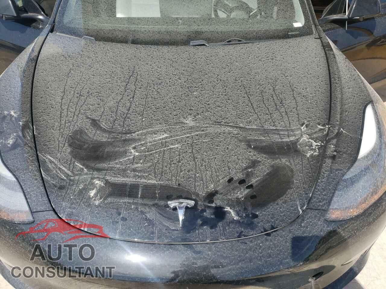 TESLA MODEL 3 2021 - 5YJ3E1EA3MF089558