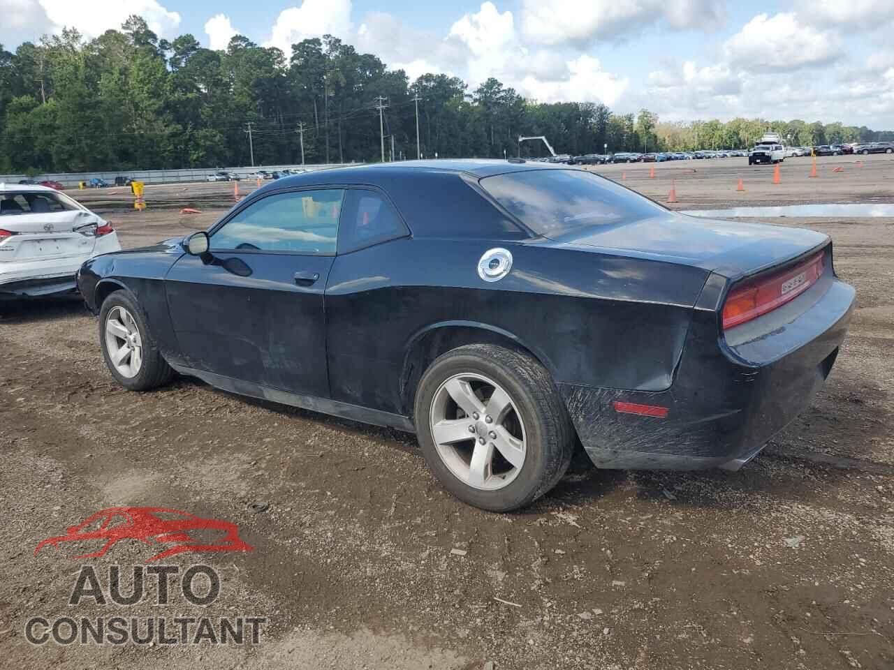 DODGE CHALLENGER 2014 - 2C3CDYAG9EH176581