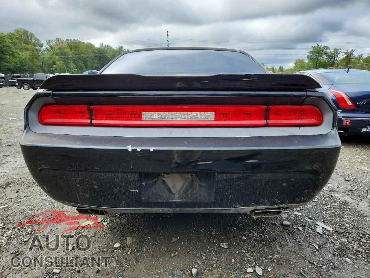 DODGE CHALLENGER 2014 - 2C3CDYAG0EH149706