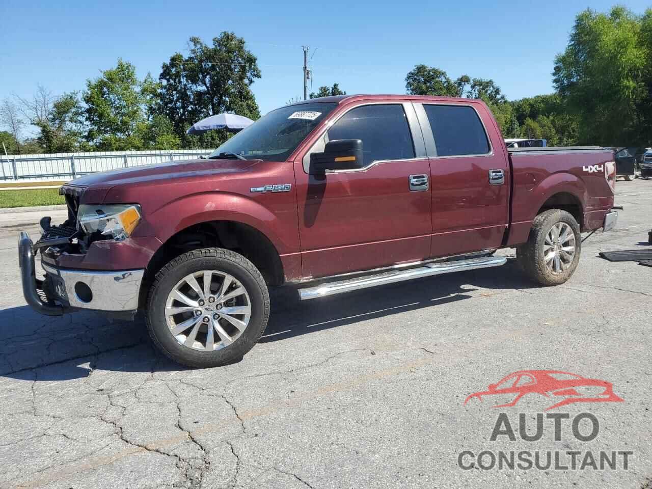 FORD F-150 2010 - 1FTEW1E87AFD25042
