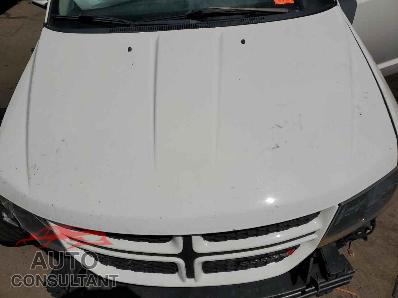 DODGE JOURNEY 2019 - 3C4PDDEG9KT799248
