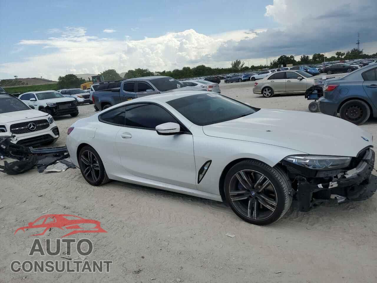 BMW 8 SERIES 2020 - WBAAE2C05LCD01914