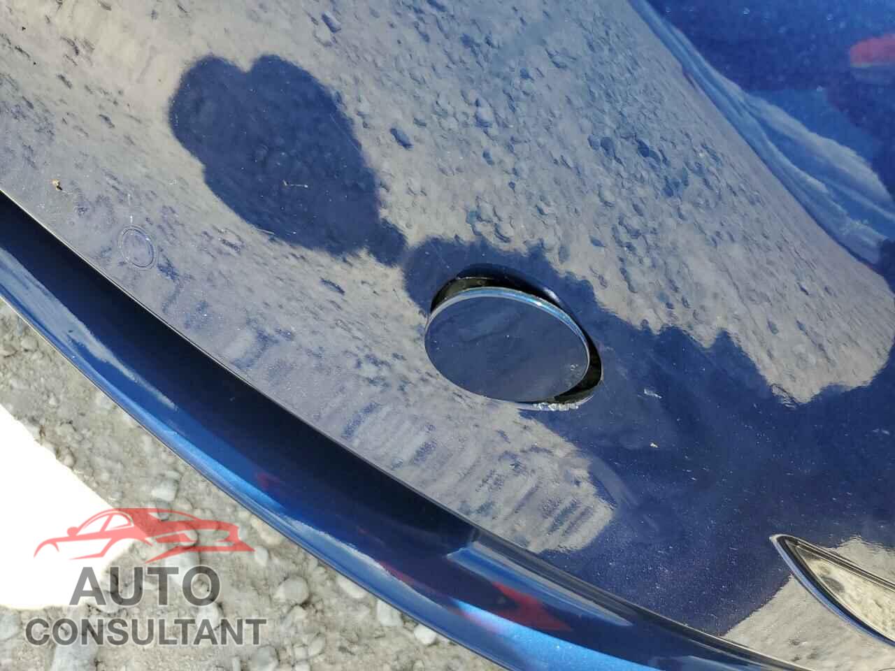 TESLA MODEL 3 2021 - 5YJ3E1EA7MF092138