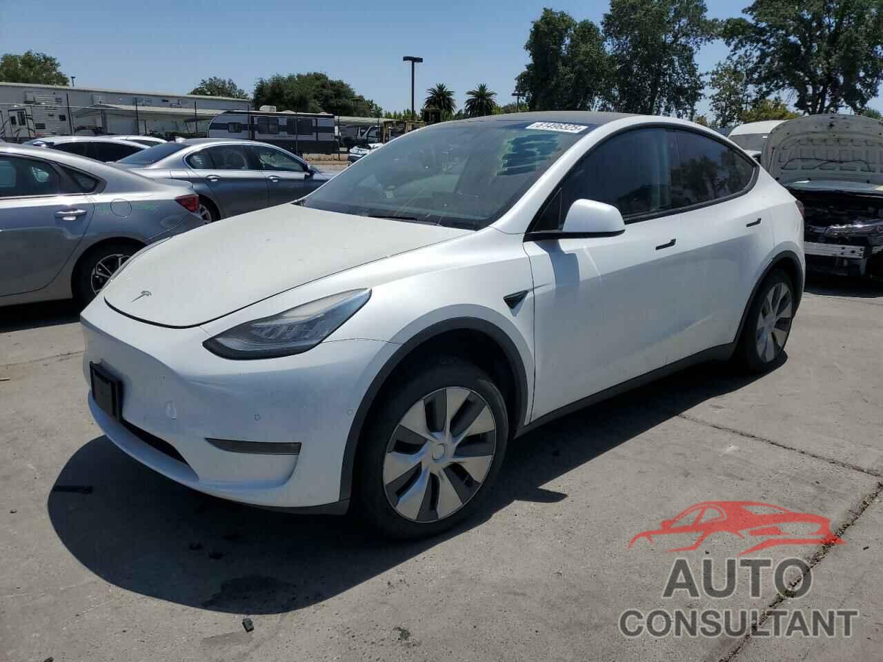 TESLA MODEL Y 2020 - 5YJYGDEE7LF030810