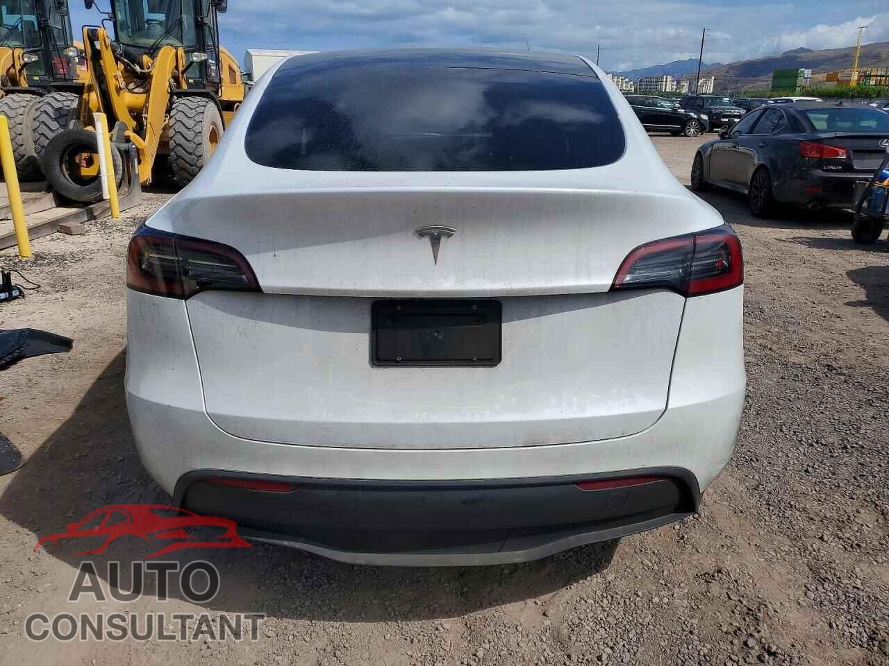 TESLA MODEL Y 2024 - 7SAYGDED0RF102563