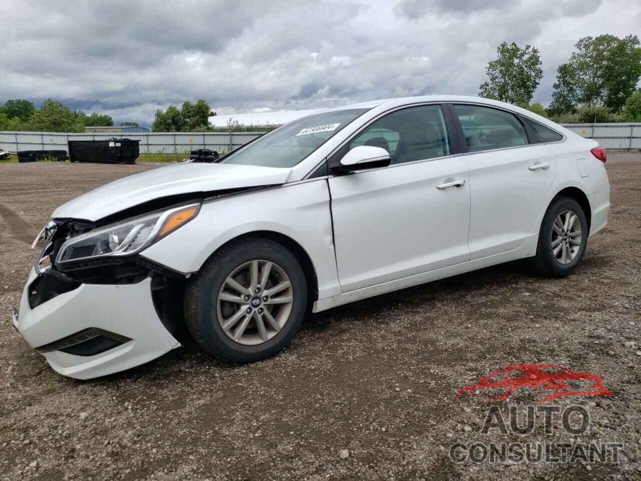 HYUNDAI SONATA 2016 - 5NPE24AAXGH394196