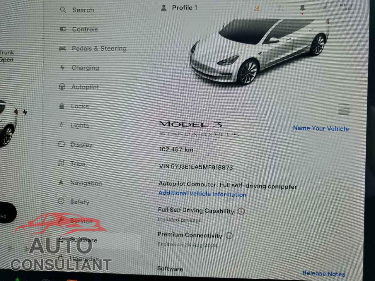 TESLA MODEL 3 2021 - 5YJ3E1EA5MF918873