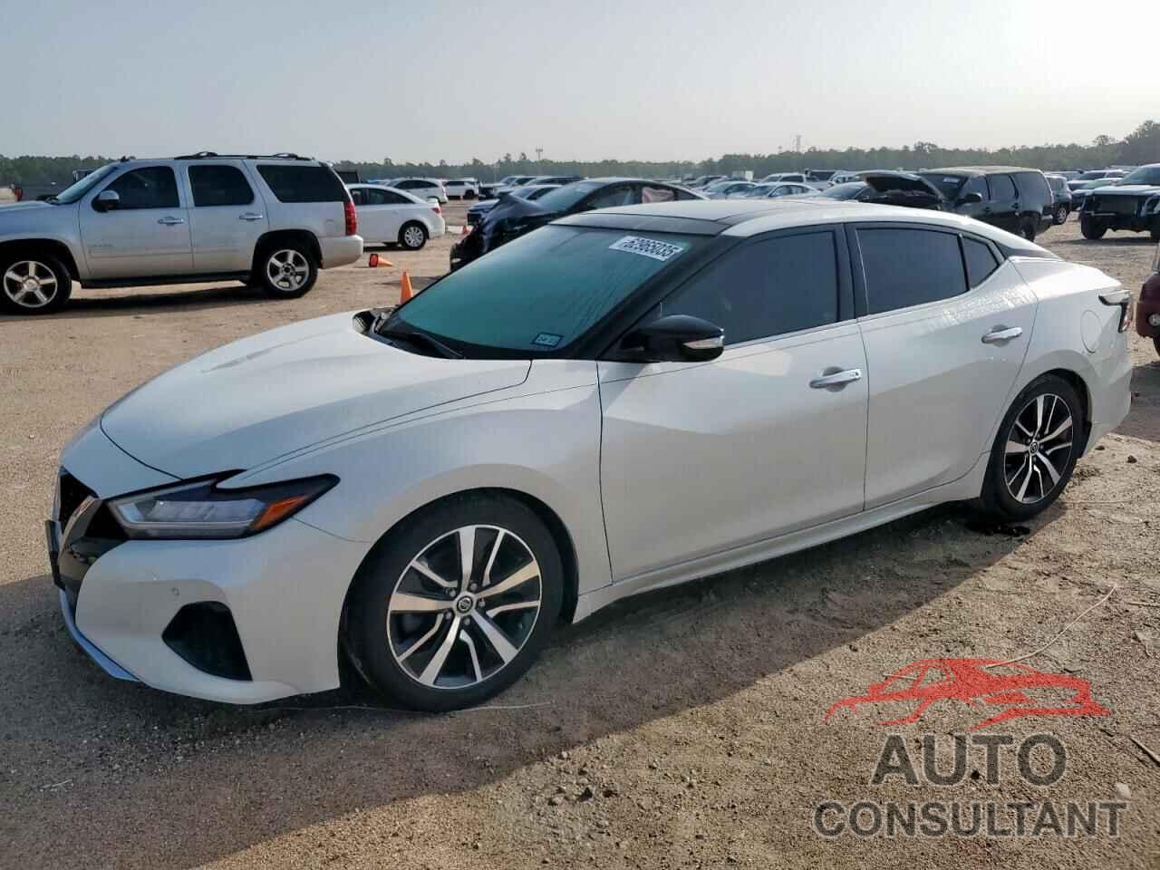 NISSAN MAXIMA 2019 - 1N4AA6AV7KC363238