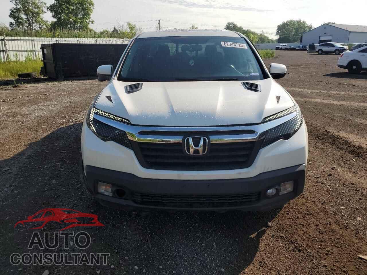 HONDA RIDGELINE 2019 - 5FPYK3F63KB023908
