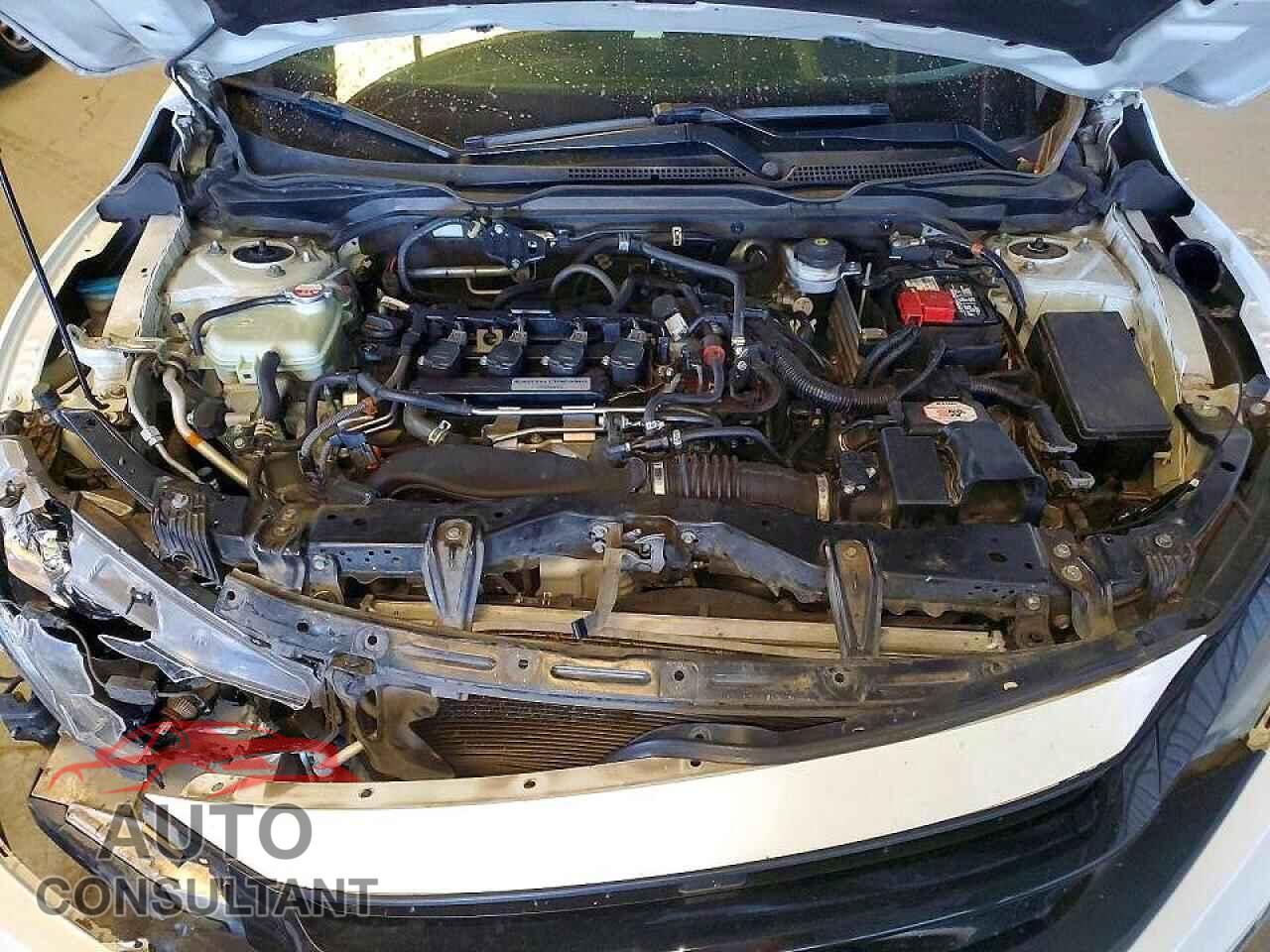 HONDA CIVIC 2019 - 2HGFC3B38KH355475
