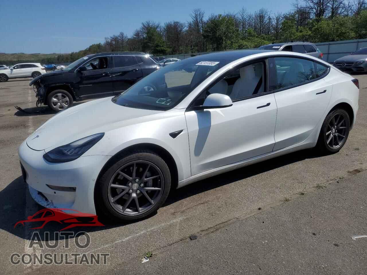 TESLA MODEL 3 2021 - 5YJ3E1EBXMF858582