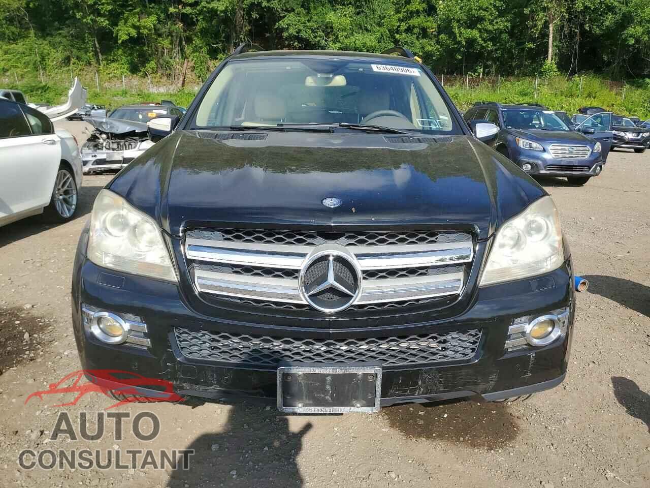 MERCEDES-BENZ GL-CLASS 2009 - 4JGBF71E19A472415