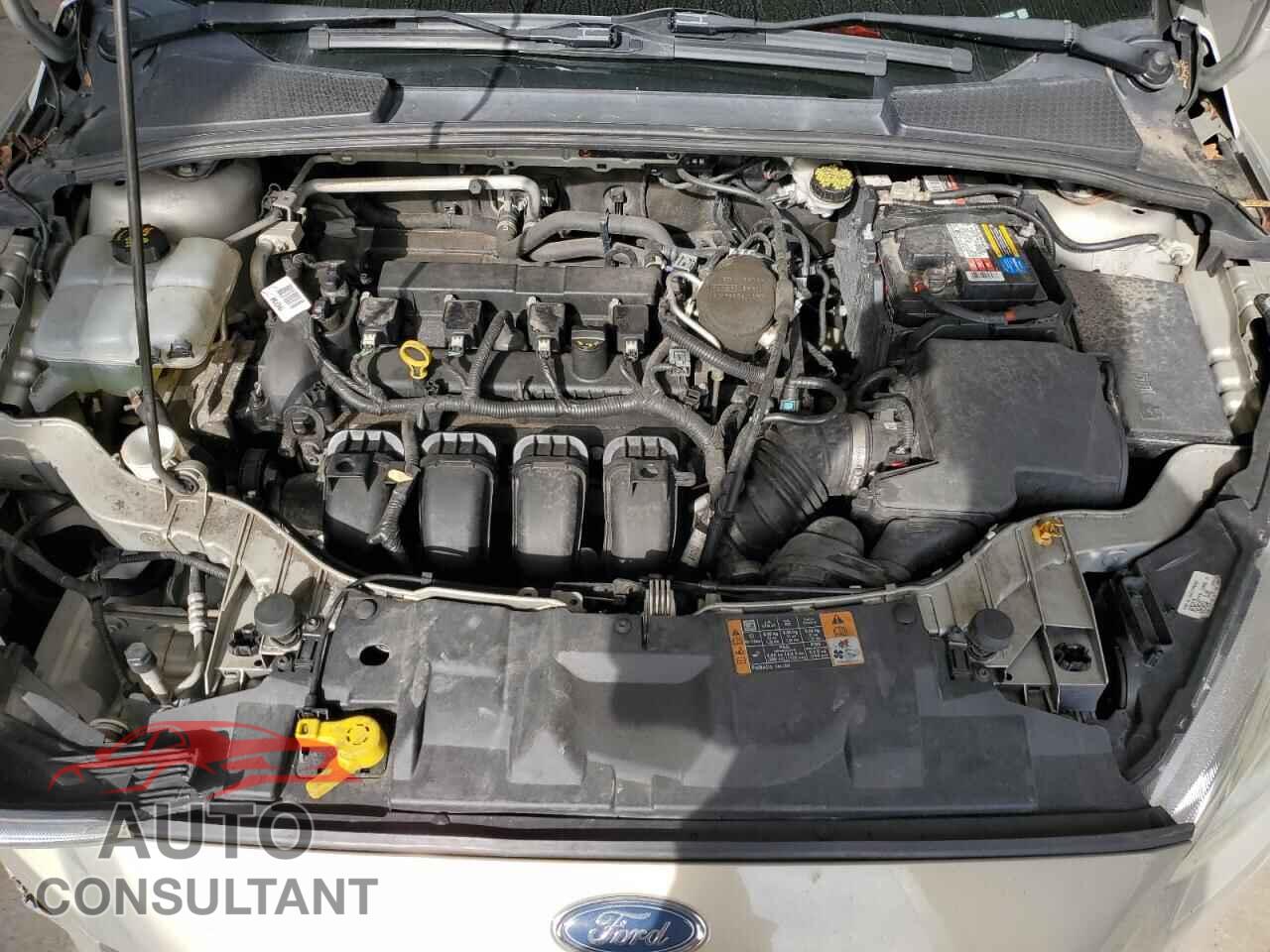 FORD FOCUS 2015 - 1FADP3K2XFL339830