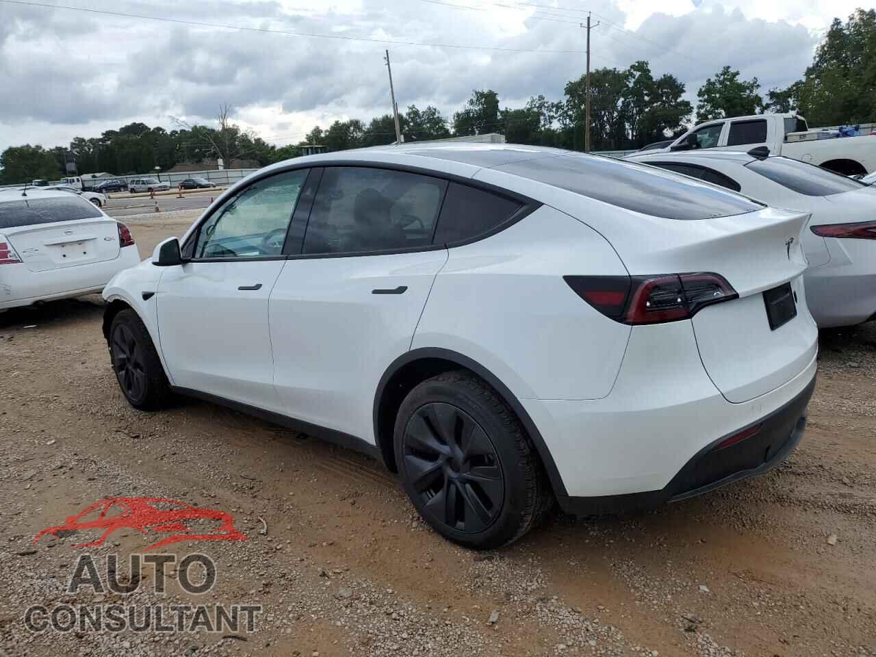 TESLA MODEL Y 2024 - 7SAYGDED1RF132168
