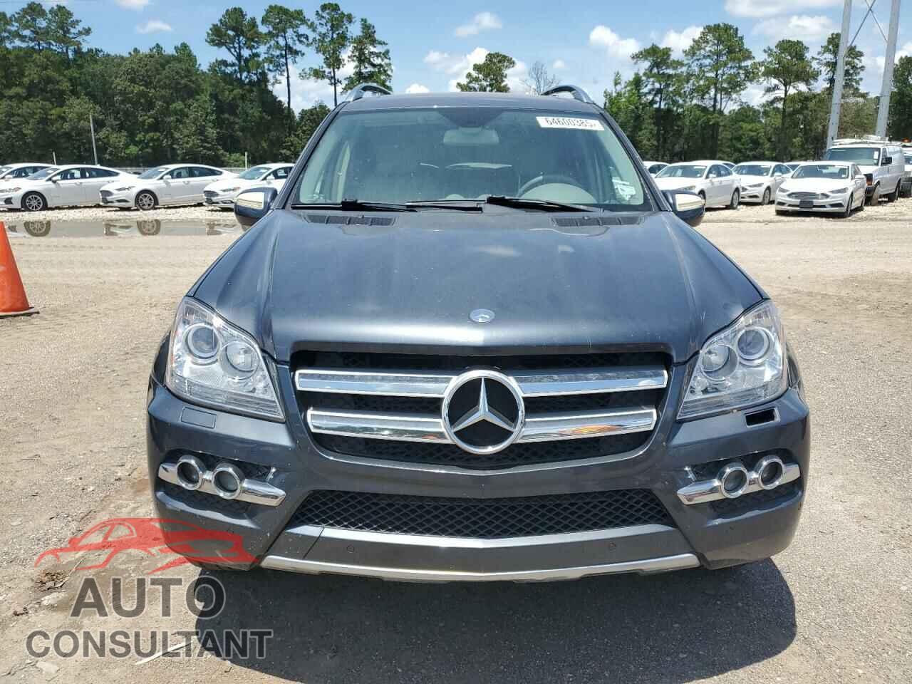 MERCEDES-BENZ GL-CLASS 2010 - 4JGBF2FE9AA620908