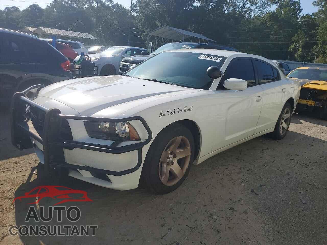 DODGE CHARGER 2014 - 2C3CDXAT2EH348697