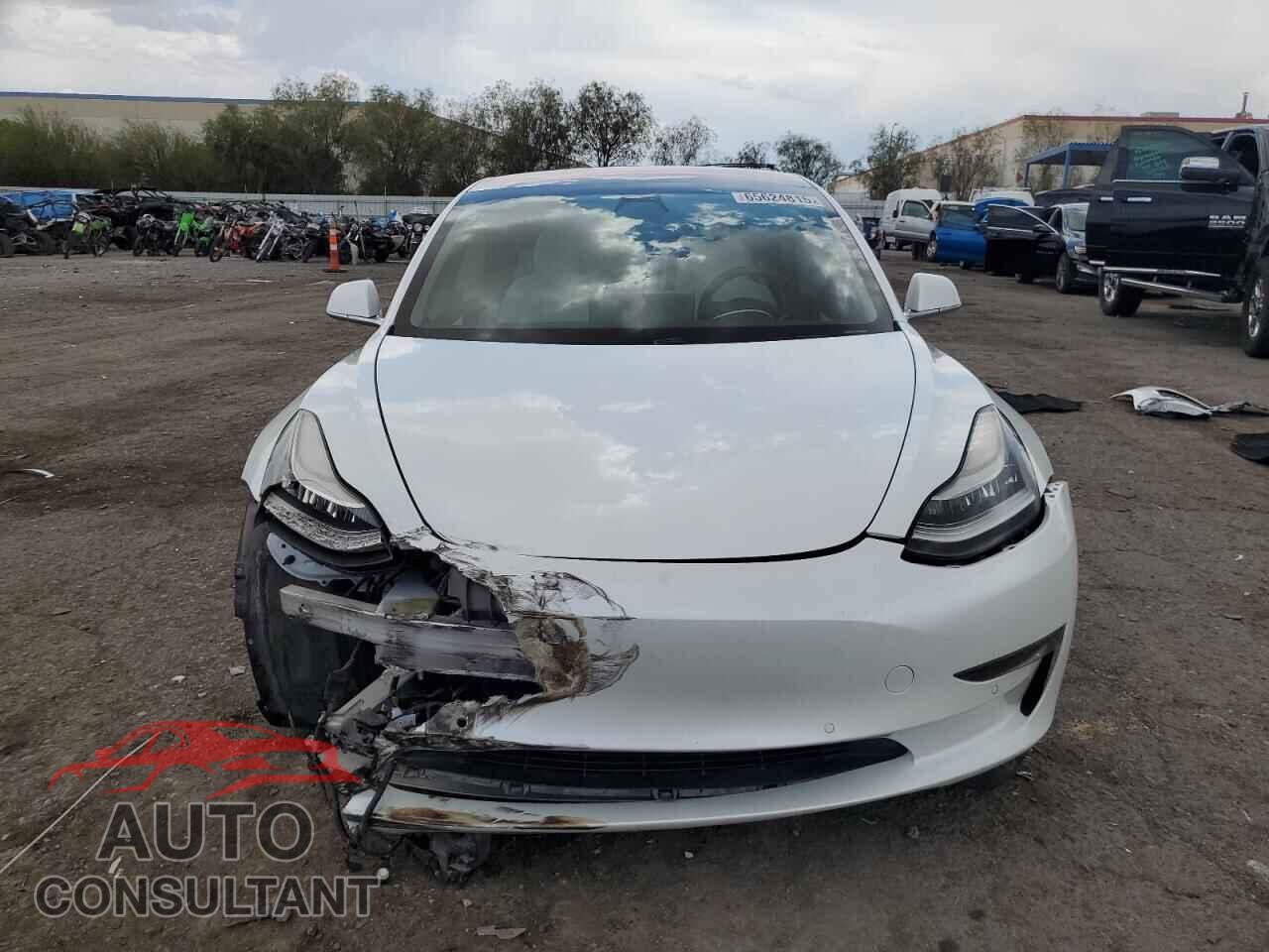 TESLA MODEL 3 2019 - 5YJ3E1EB0KF192278