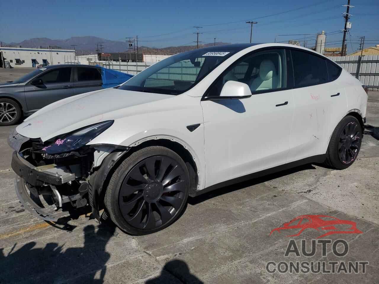 TESLA MODEL Y 2024 - 7SAYGDEF8RF131584