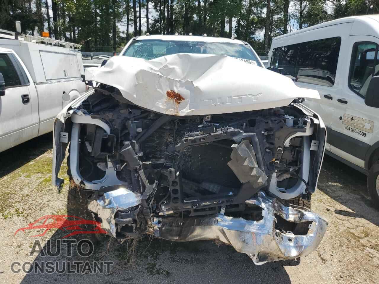 FORD F350 2024 - 1FT8W3DT5RED84462