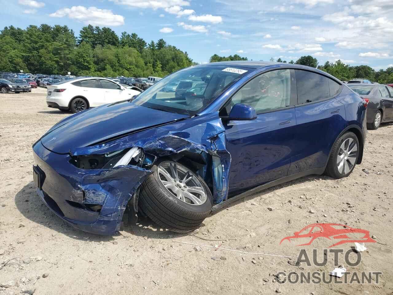 TESLA MODEL Y 2024 - 7SAYGDEE3RA286144