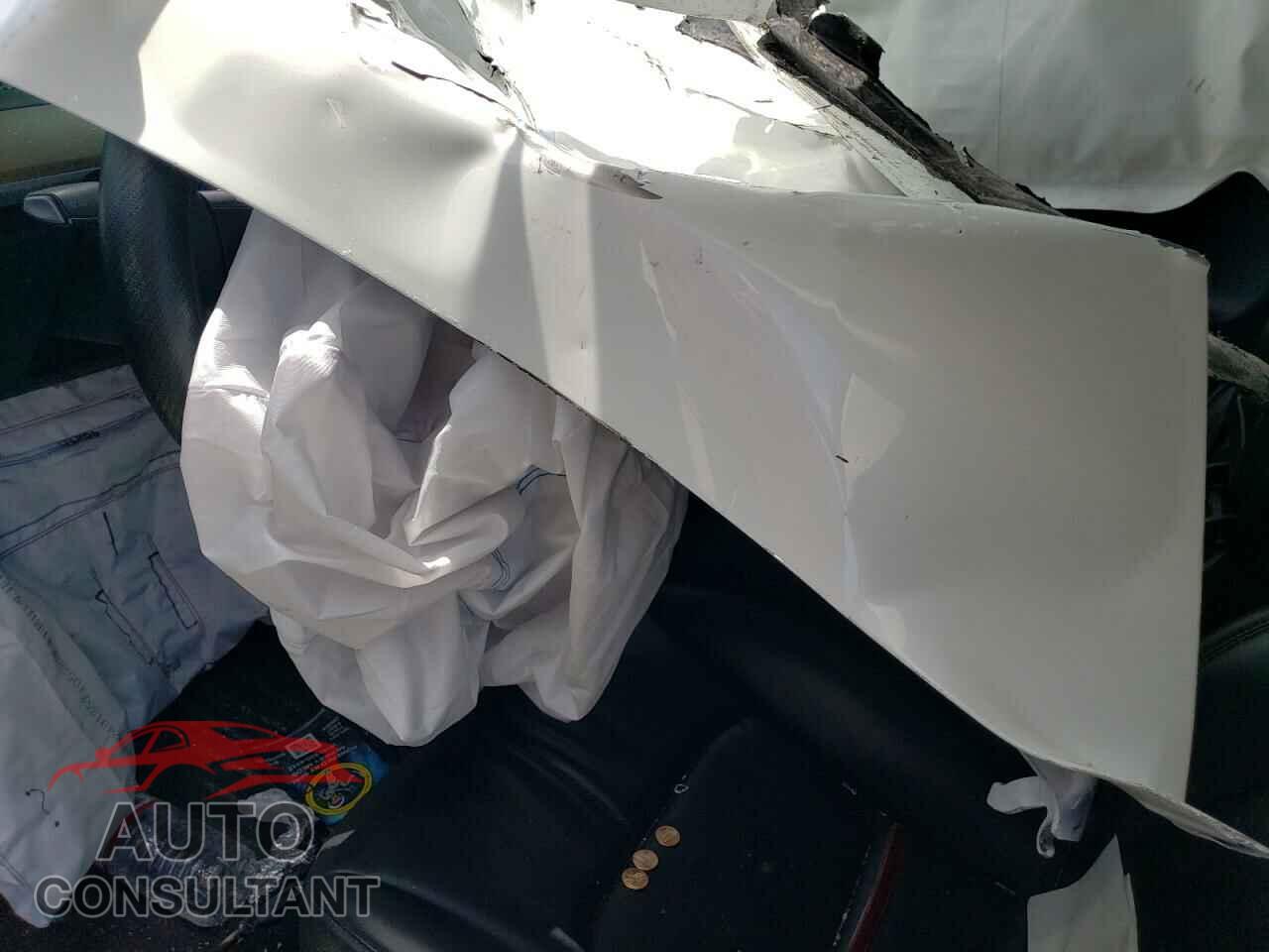 TESLA MODEL 3 2019 - 5YJ3E1EA1KF503952