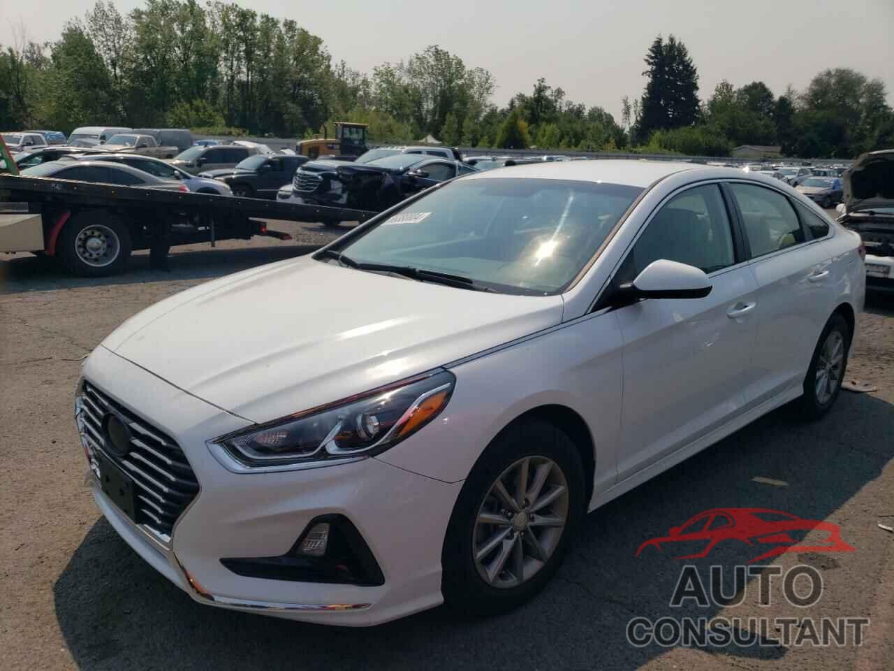 HYUNDAI SONATA 2018 - 5NPE24AF4JH700408