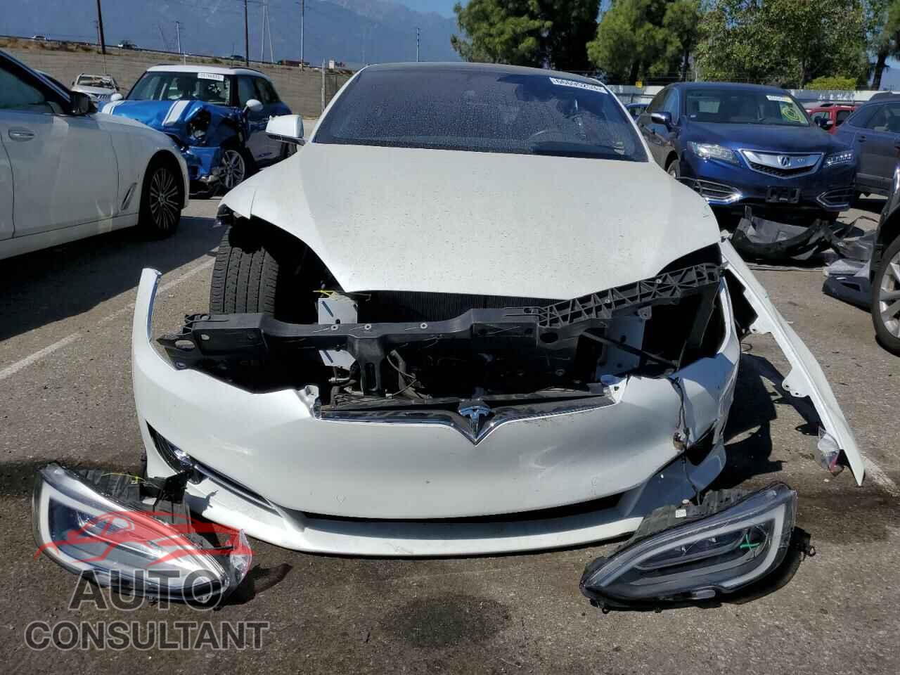 TESLA MODEL S 2019 - 5YJSA1E25KF332459